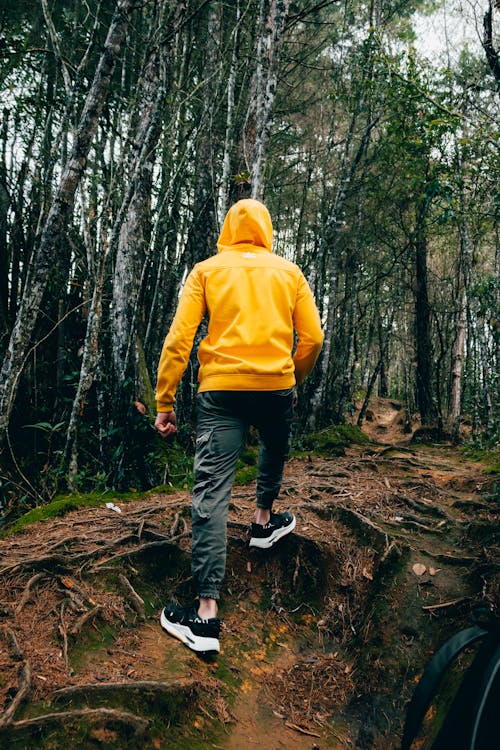 Back View of a Man Walking in the Forest 