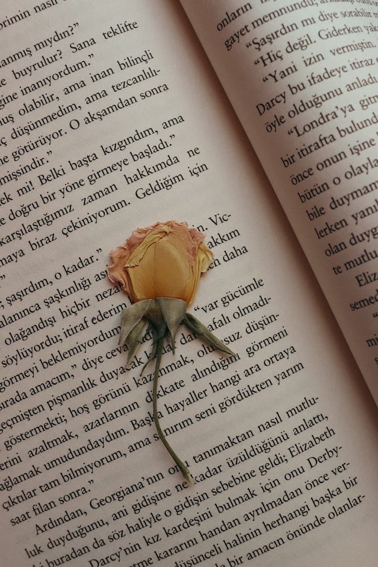 Flower On Book Page