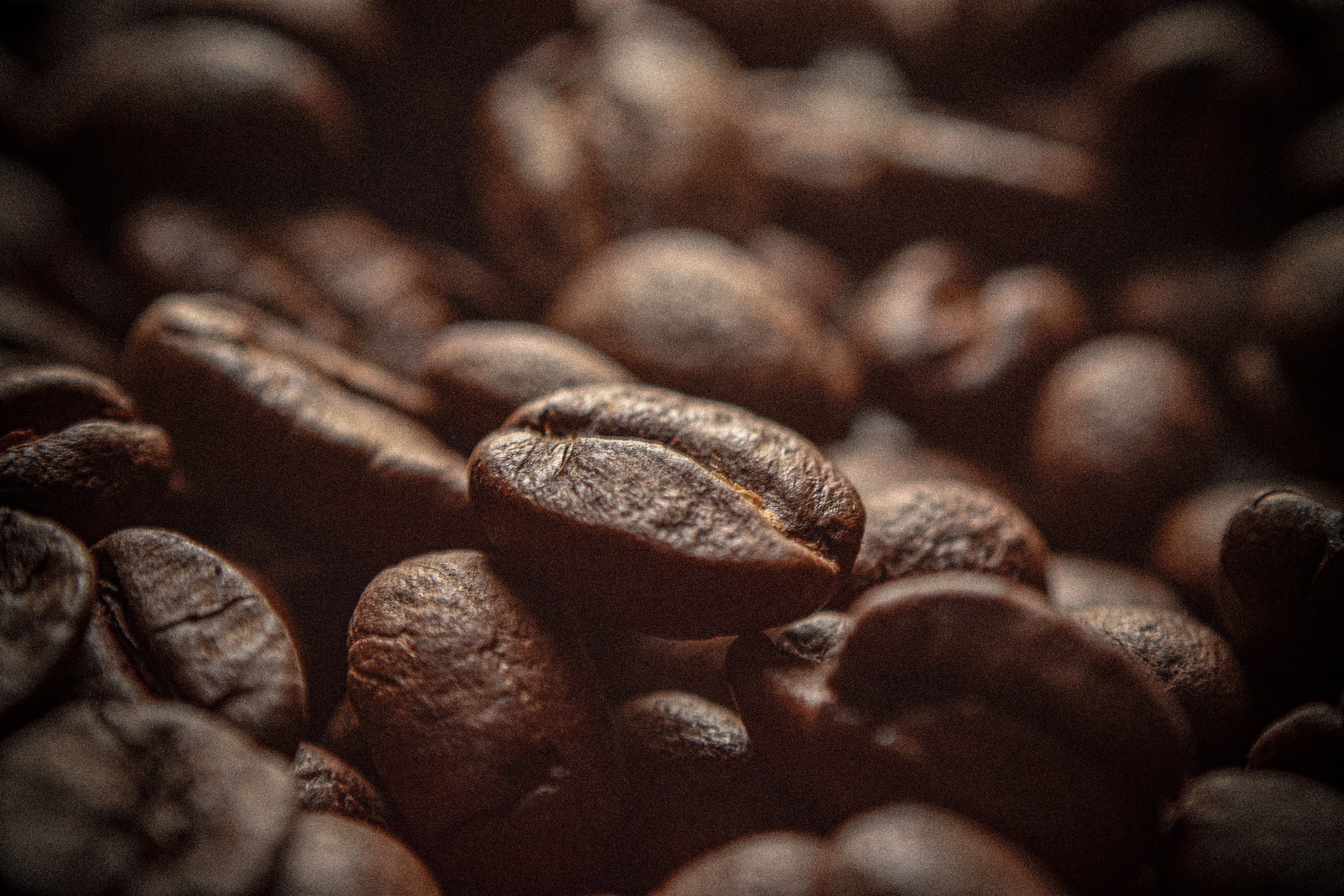 Coffee beans closeup