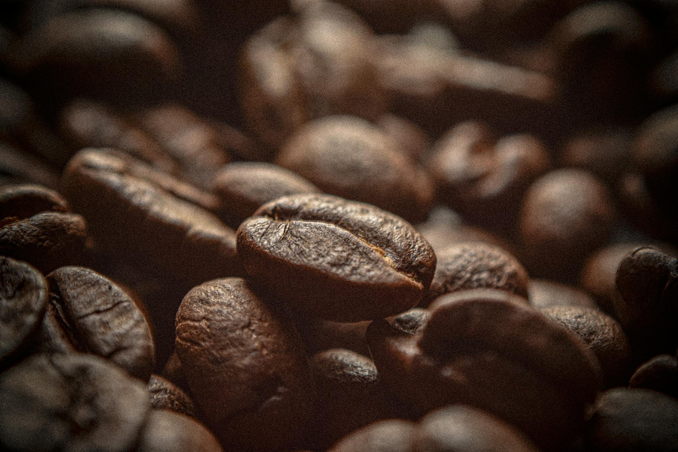 Close-Up Photo of Roasted Coffee Beans · Free Stock Photo