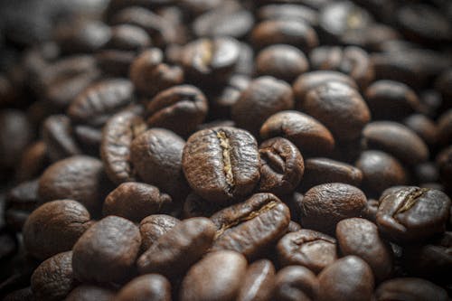 Pile of Roasted Coffee Beans