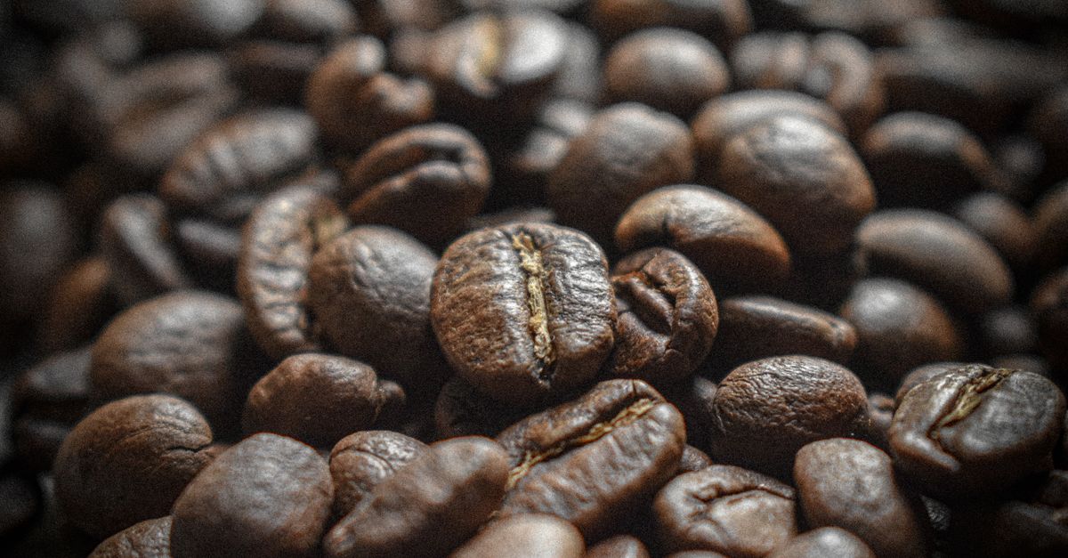 Arabica ou robusta : quelle différence ?