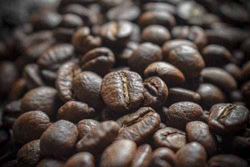 Free coffee beans Stock Photo