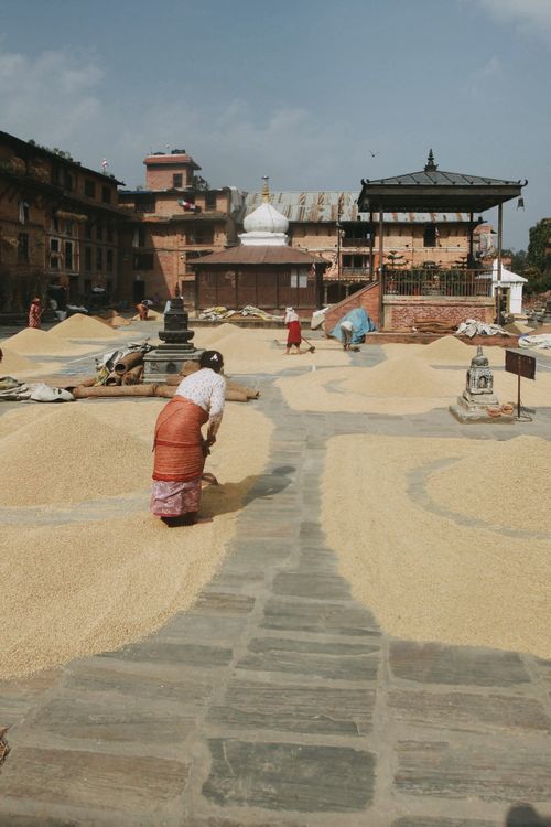 Free Women drying grains in a traditional courtyard in Bungamati, Nepal, showcasing everyday life and cultural practices. Stock Photo