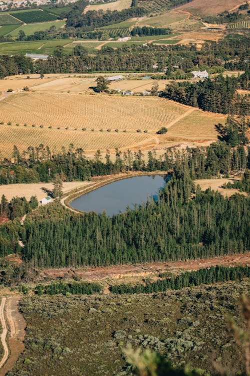 Aerial Photo of a Rural Landscape with a Pond among Fields
