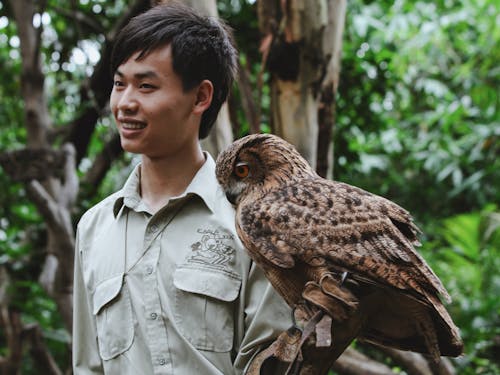 Smiling Falconer with Eurasian Eagle-Owl on Glove