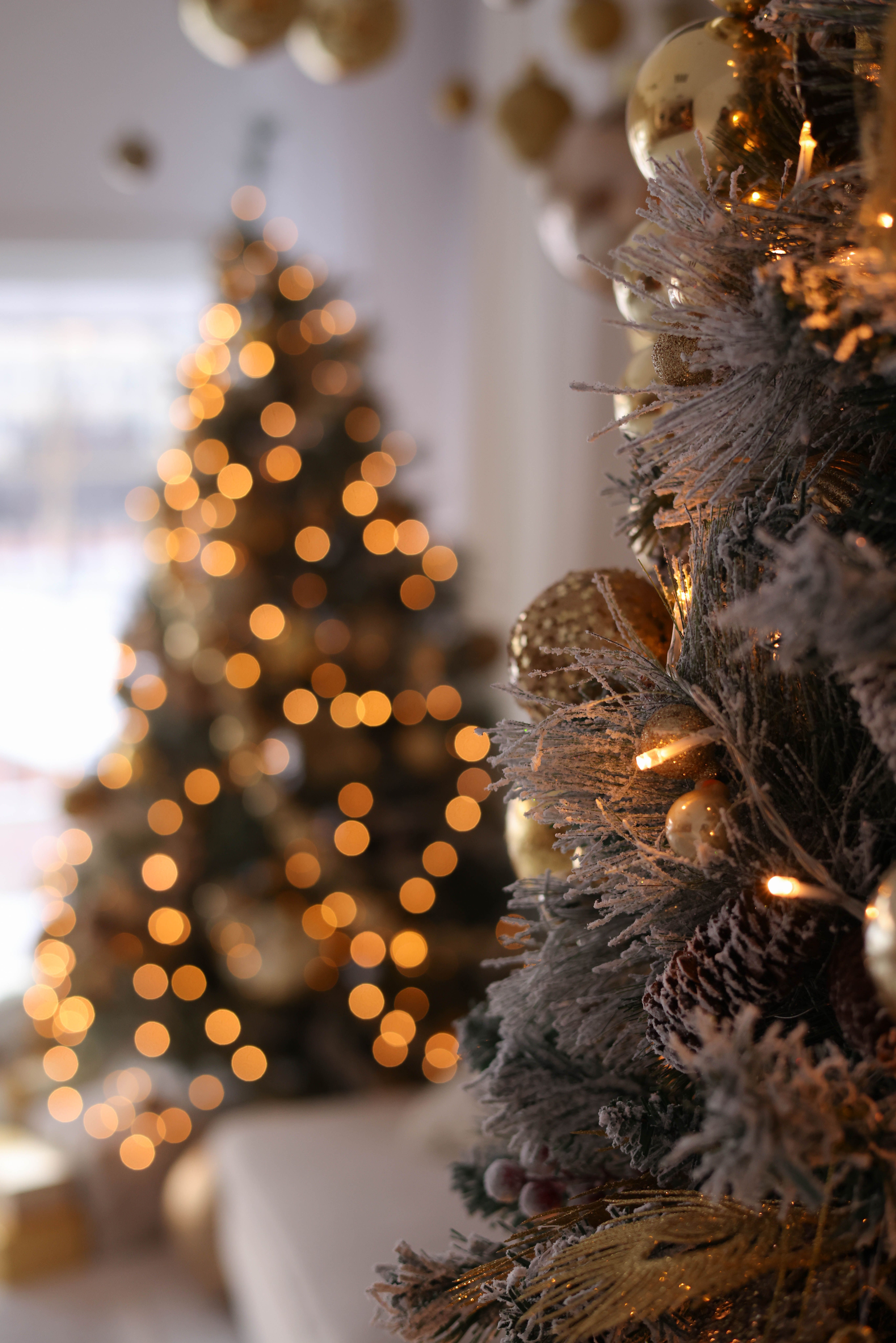 Close up of Christmas Tree Decorations · Free Stock Photo