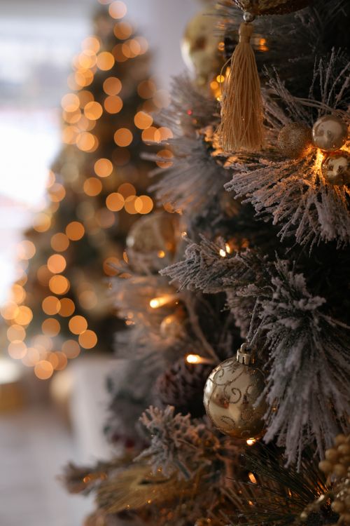 Free A beautifully decorated Christmas tree adorned with ornaments and soft glowing lights. Stock Photo
