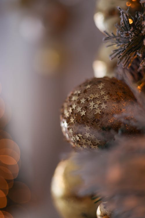 Golden Bauble with Stars on a Christmas Tree Branch
