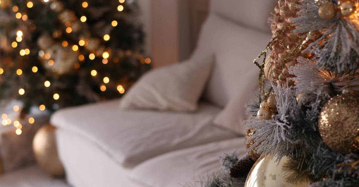 Christmas Trees around Couch · Free Stock Photo