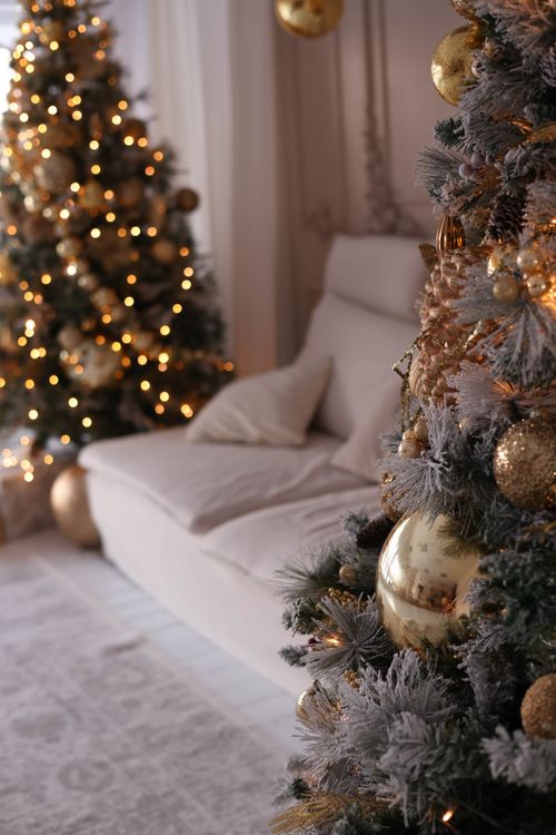 Christmas Trees around Couch · Free Stock Photo
