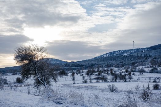 A serene winter landscape with snow-covered fields and a wind turbine in the distance.