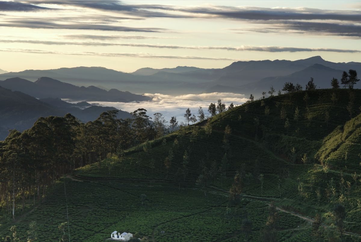 Hill Country Sri Lanka