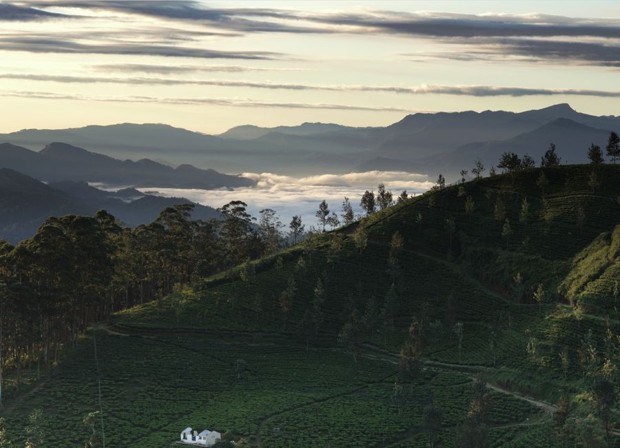 Captivating view of Mandaramnuwara in Sri Lanka with lush hills and distant misty mountains.
