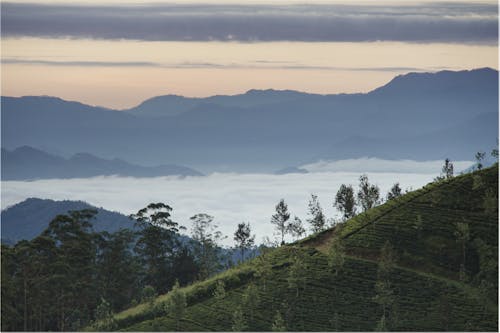 Kostenloses Stock Foto zu asiatische landschaften, berggipfel, früher sonnenaufgang