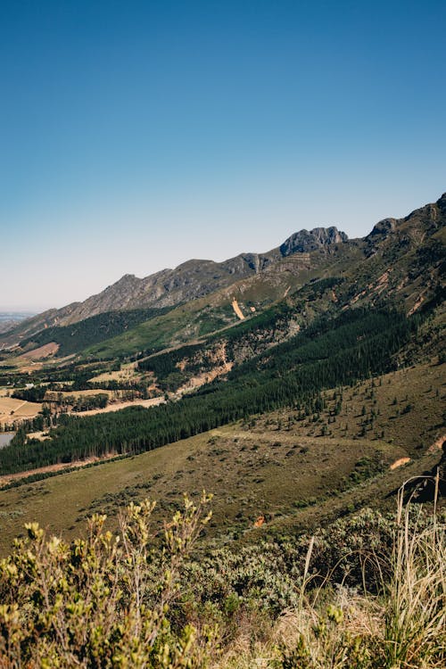 Panorama of Scenic Mountain Slopes near Franschhoek, South Africa