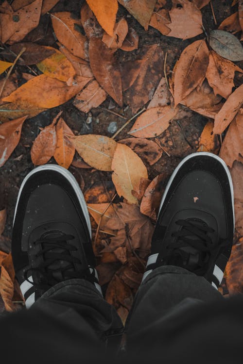Photos gratuites de automne, chaussures, debout