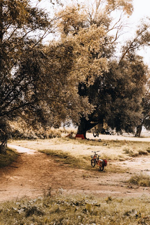 Bicycle near Trees in Countryside