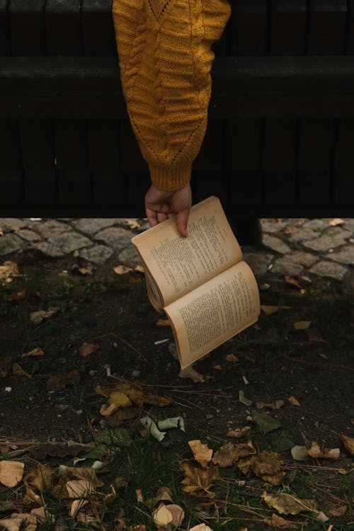Gratis lagerfoto af åben bog, arm, efterår