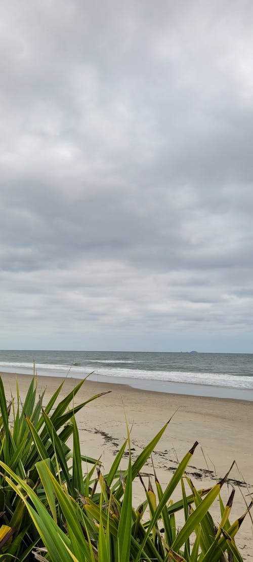 deniz okyanusu, kumlu plaj, Mavi su içeren Ücretsiz stok fotoğraf