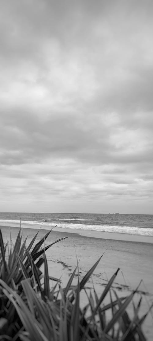 Foto profissional grátis de areia da praia, costa do oceano, mar aberto