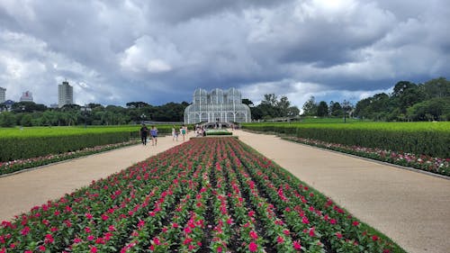 Botanik Bahçesi, bulut, bulutlu gökyüzü içeren Ücretsiz stok fotoğraf
