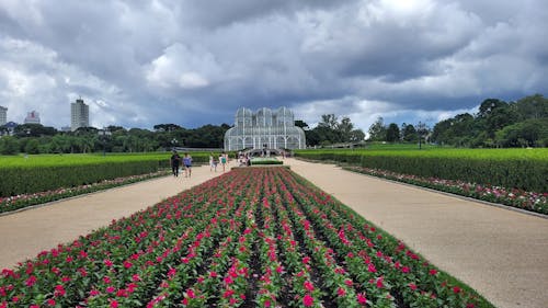 Imagine de stoc gratuită din cer noros, grădină botanică, nor