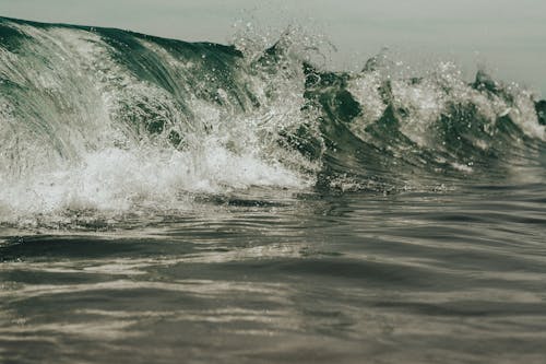 Δωρεάν στοκ φωτογραφιών με αφρός της θάλασσας, γνέφω, ημέρα