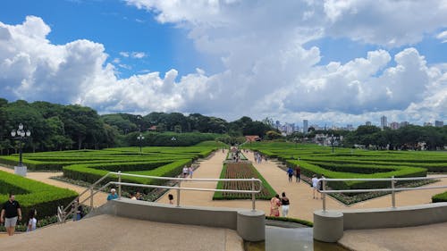 Imagine de stoc gratuită din cer noros, grădină botanică, nor