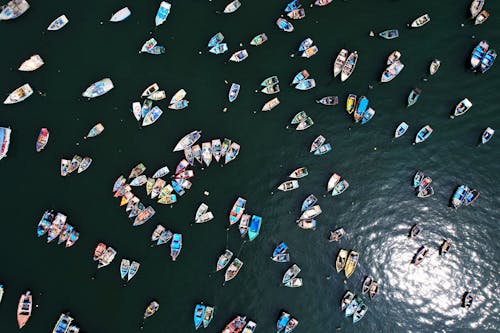 Birds Eye View of Boats on Lake