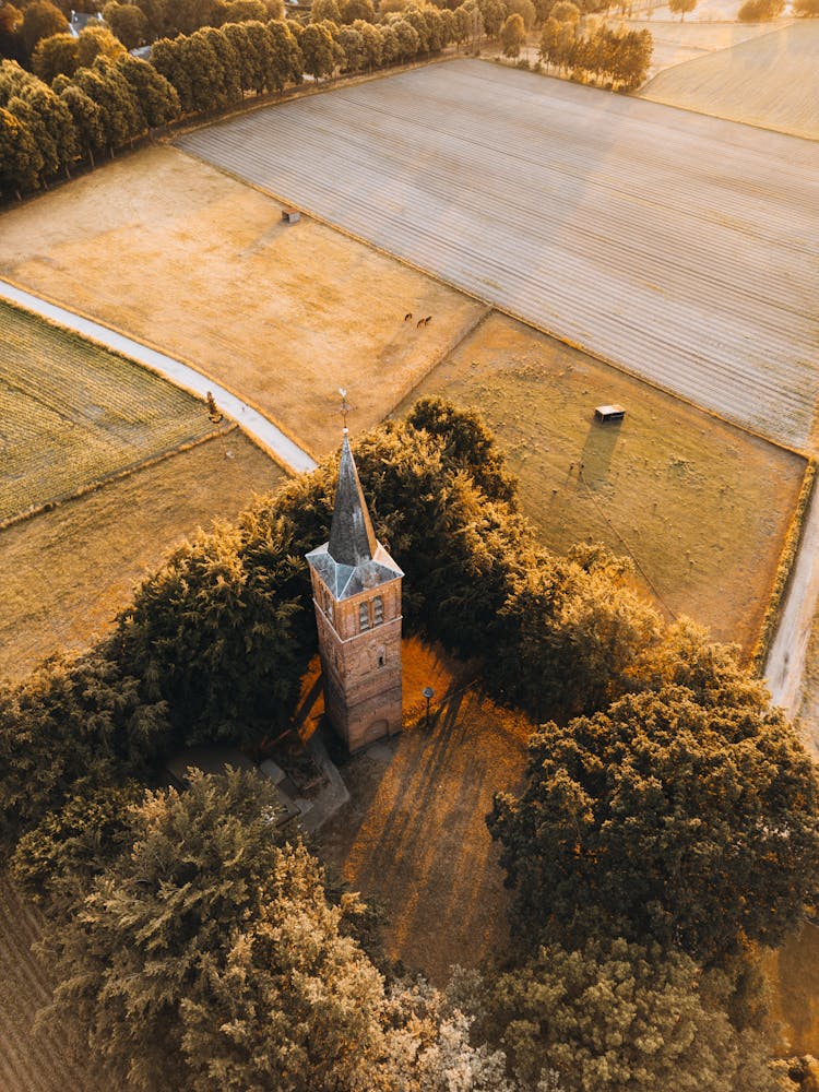 Aerial Shot Of A Tower In Fields