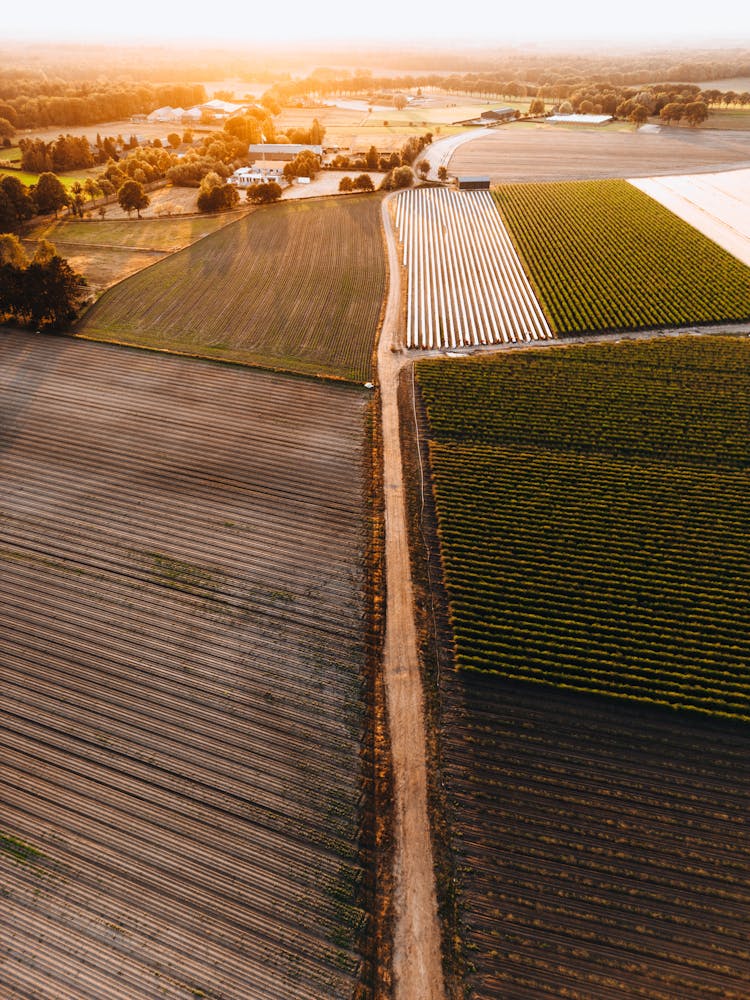 Aerial Shot Of Fields