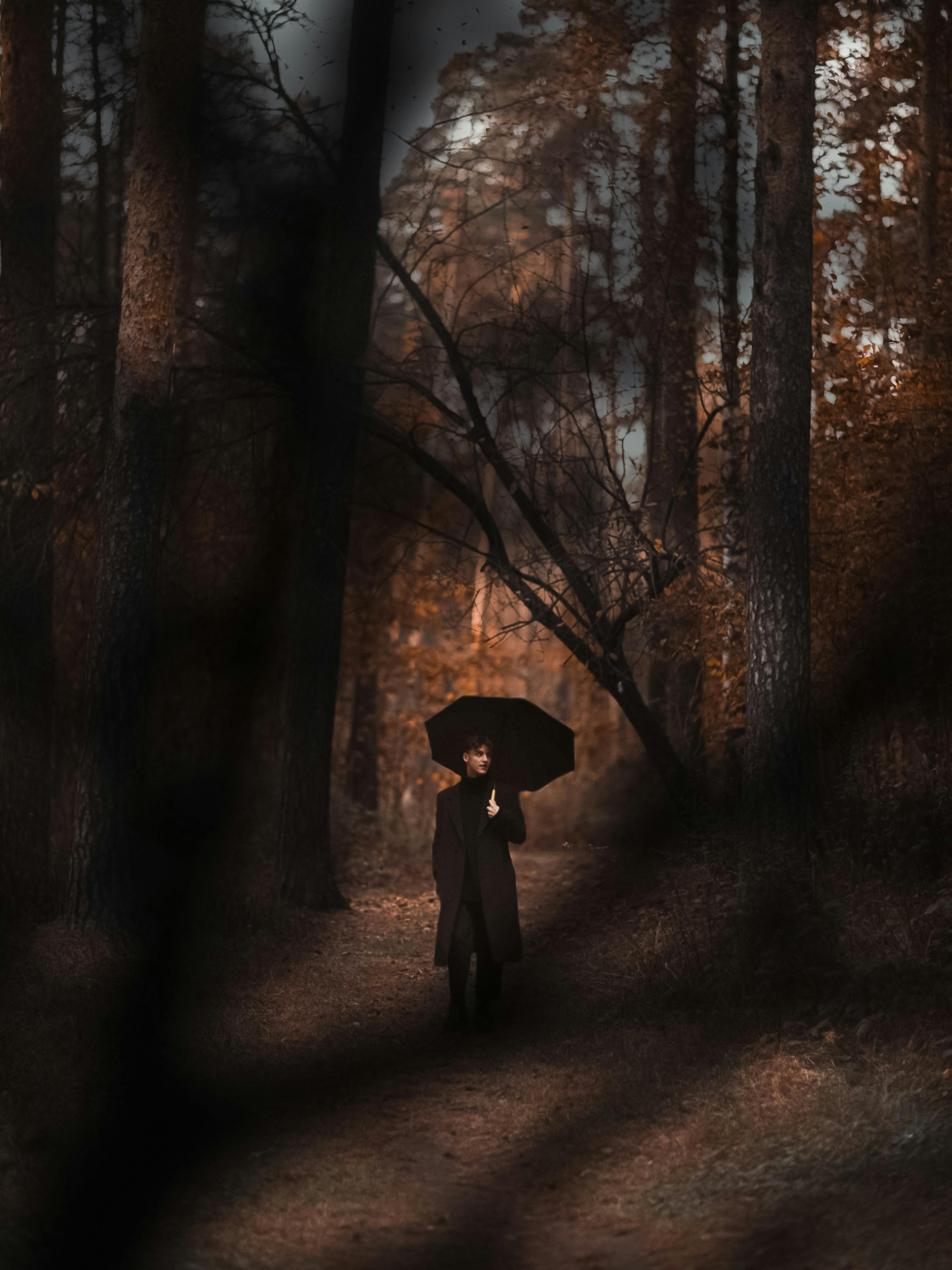 A person walks with an umbrella on a forest path during autumn in India.