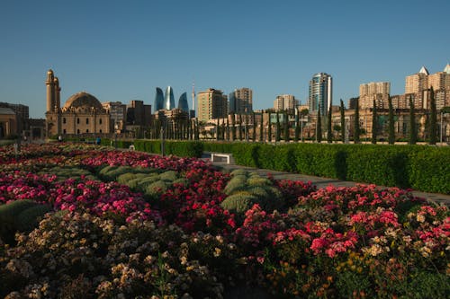 Fotos de stock gratuitas de azerbaiyán, bakú, ciudad