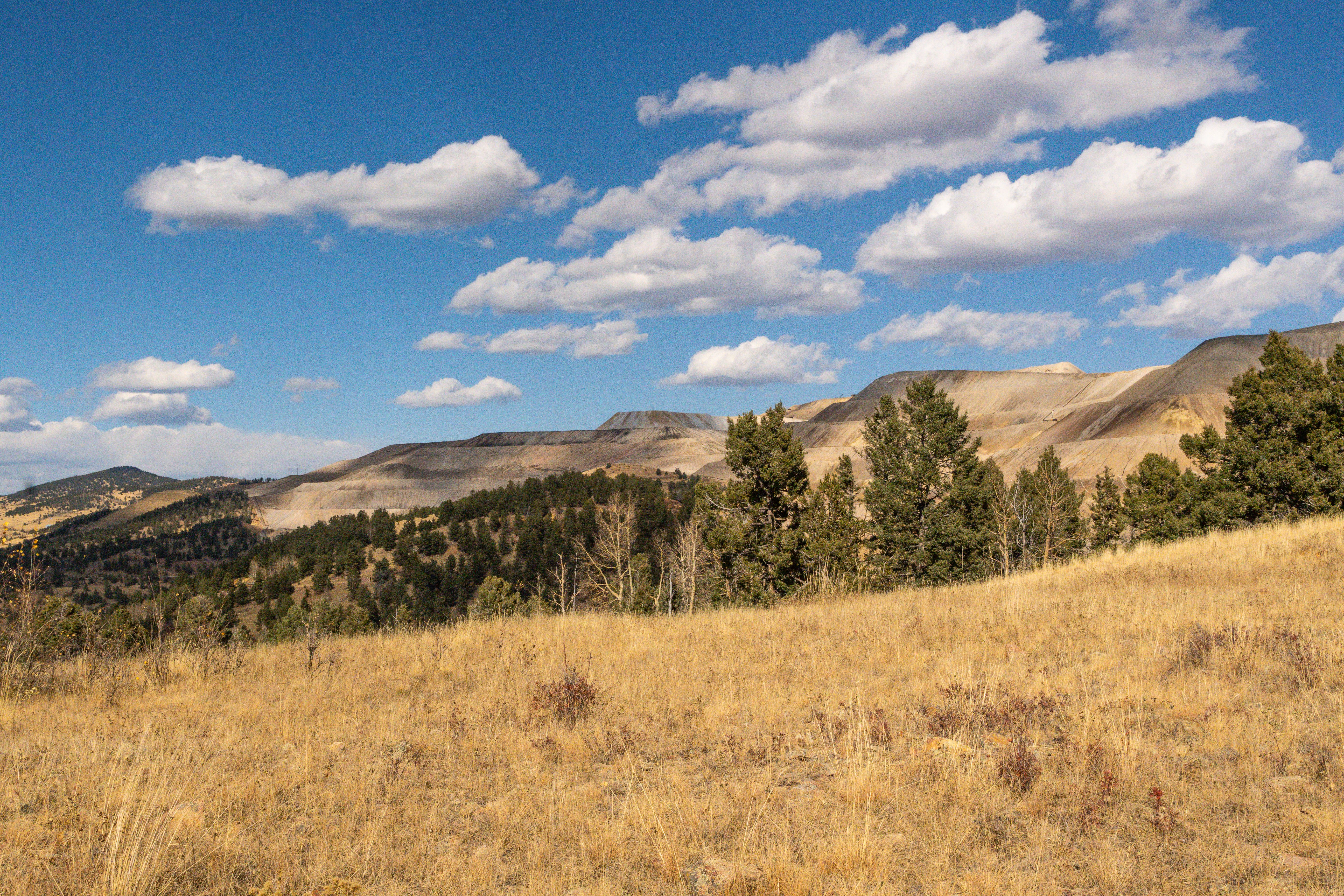 While visiting Grand County, Colorado Gov. Jared Polis signs bills aimed at wildlife safety, outdoor recreation, reckless dri