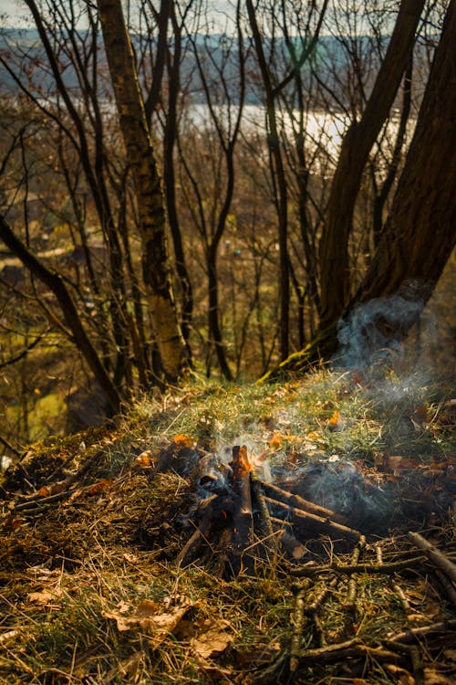 Foto profissional grátis de à lenha, acampamento, área de camping