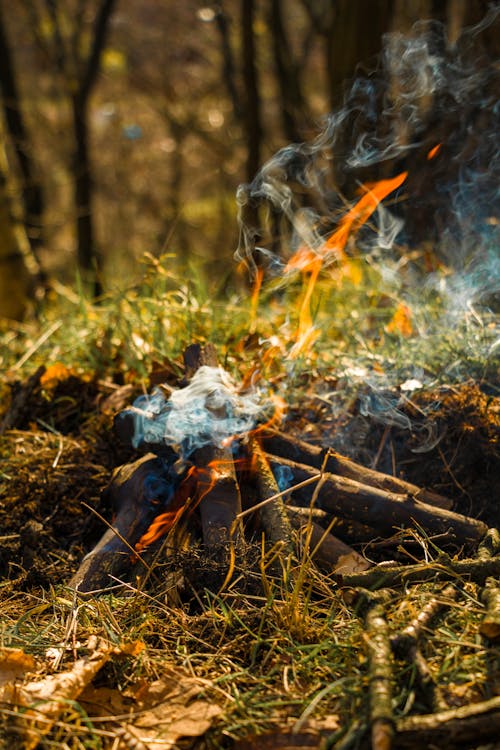 Foto profissional grátis de à lenha, acampamento, área de camping