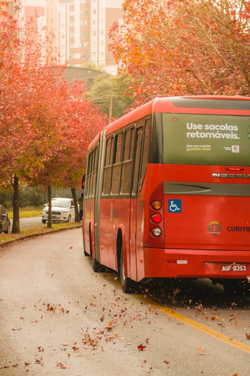 Darmowe zdjęcie z galerii z autobus, czerwony, droga