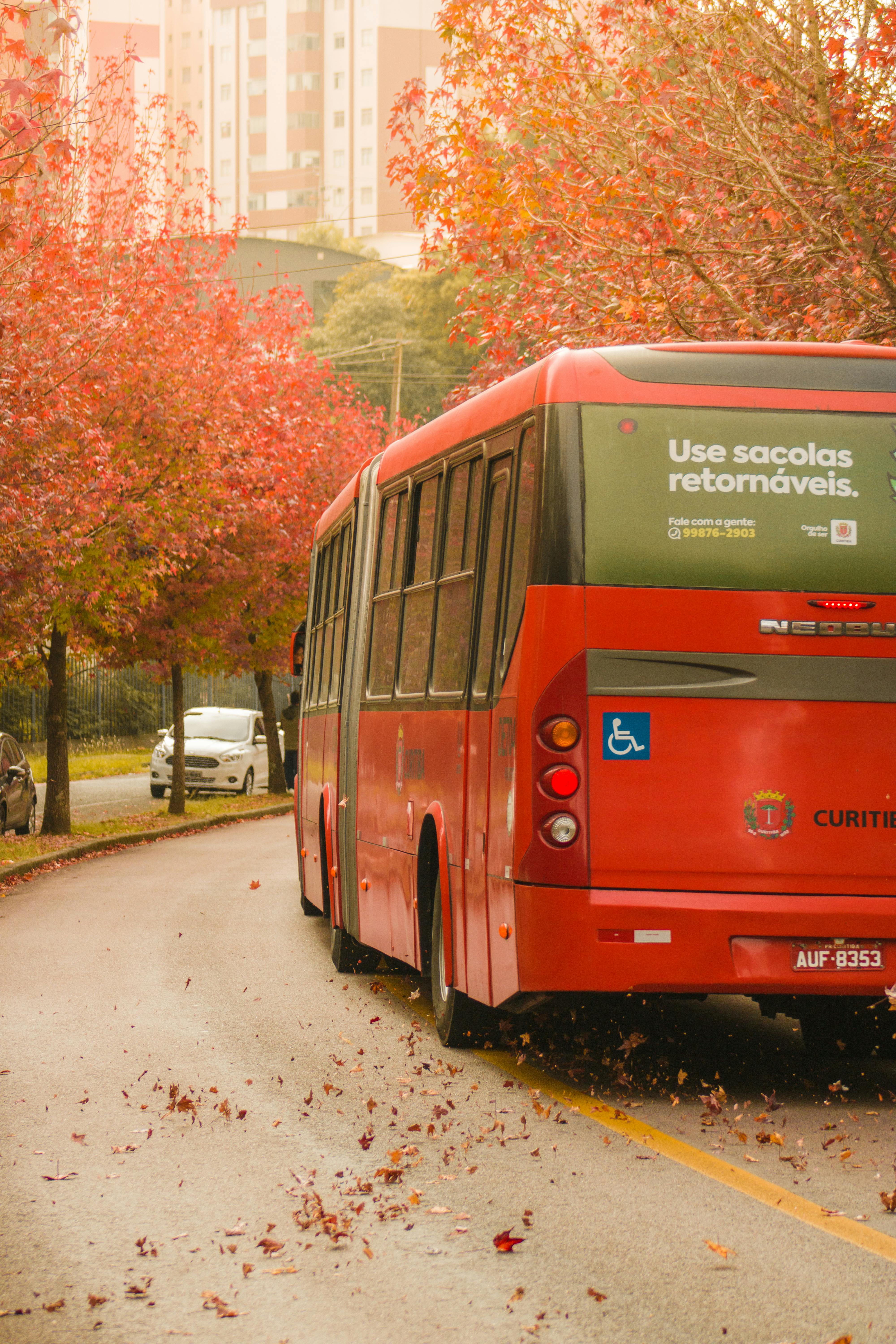 Red Bus on a Road in Fall · Free Stock Photo