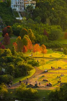 Aerial view of a vibrant autumn park with colorful trees and people enjoying the scenery.