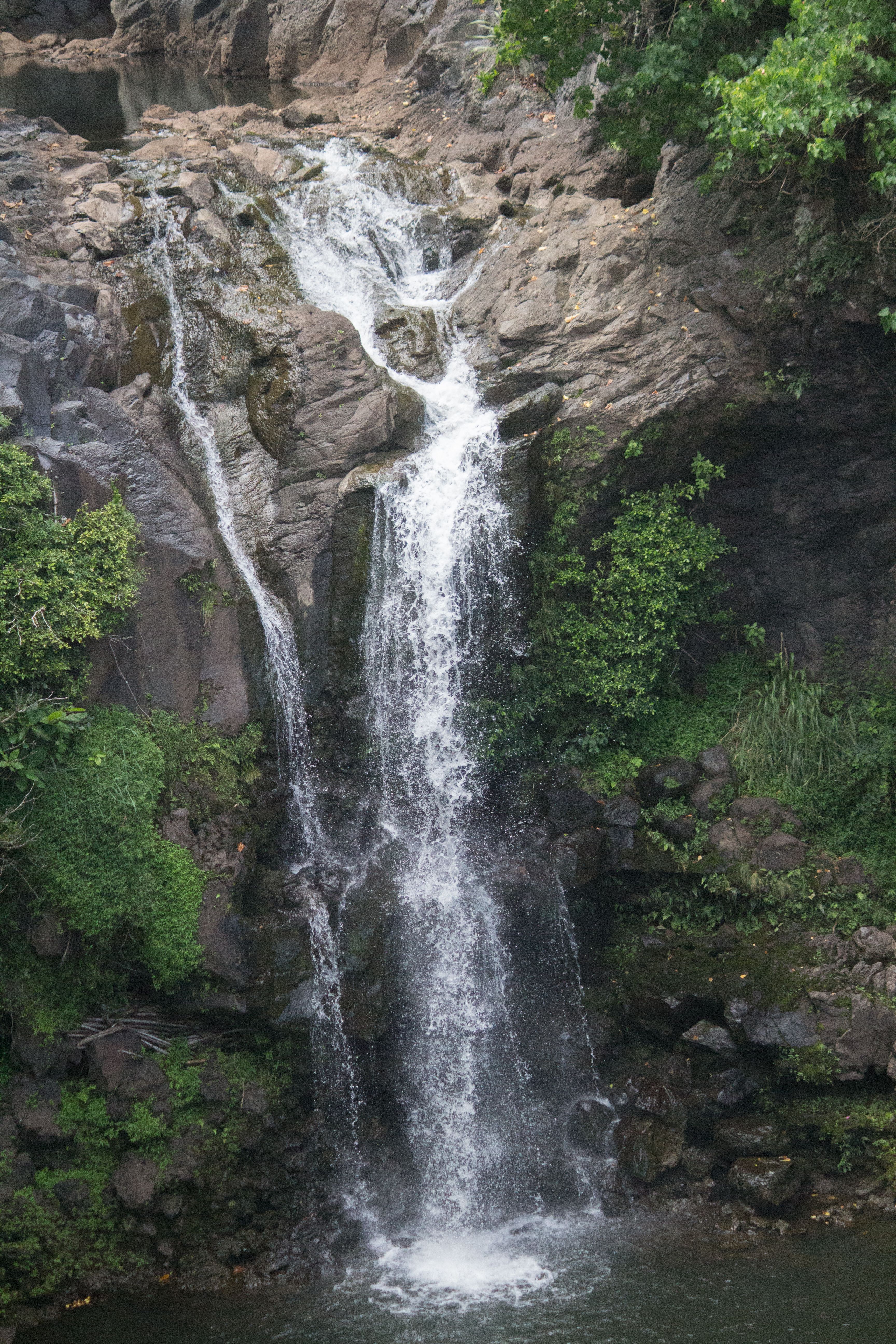 Waterfall on Rocks in Forest · Free Stock Photo