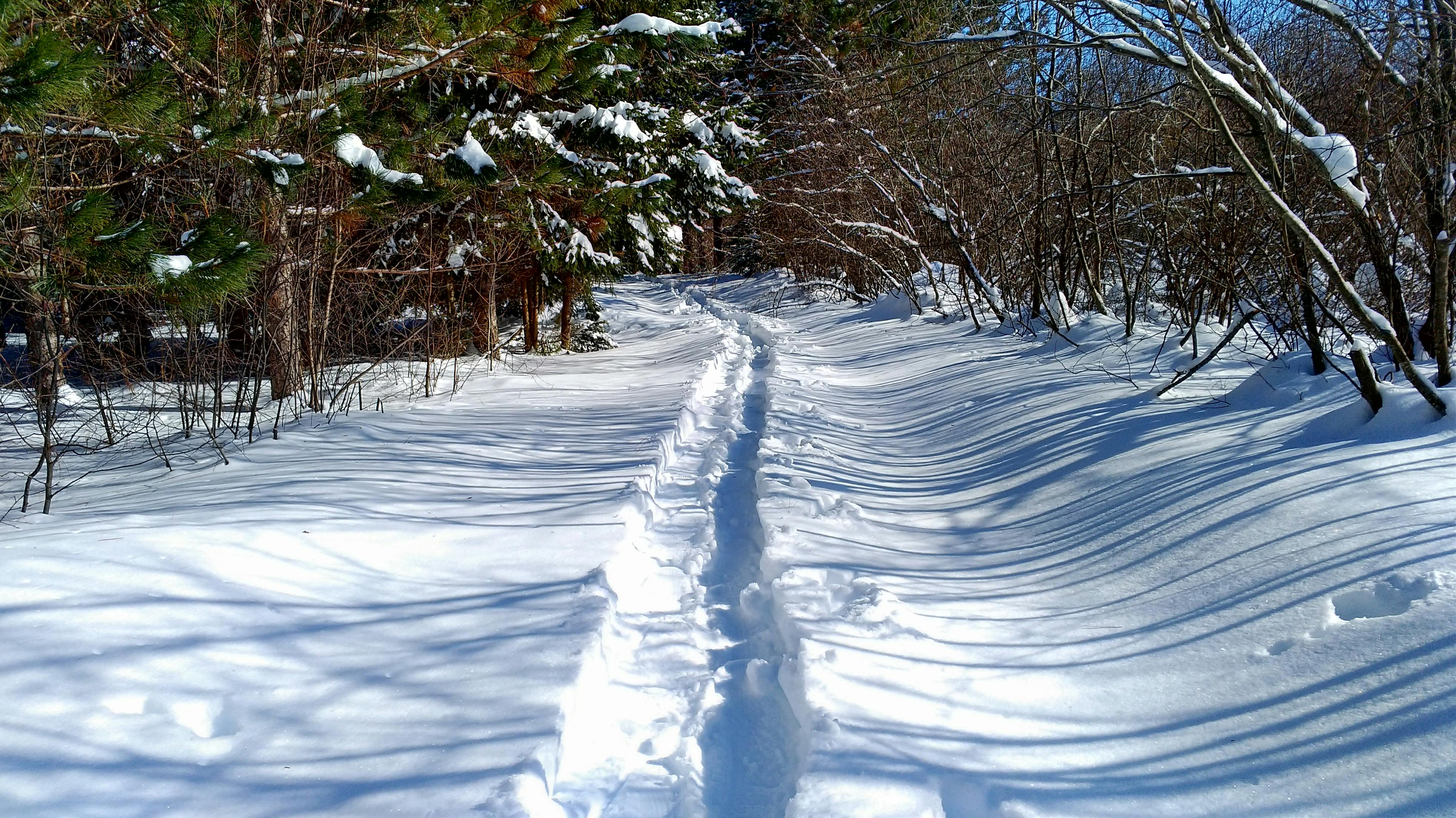 Free stock photo of Winter Snow shoeing trail