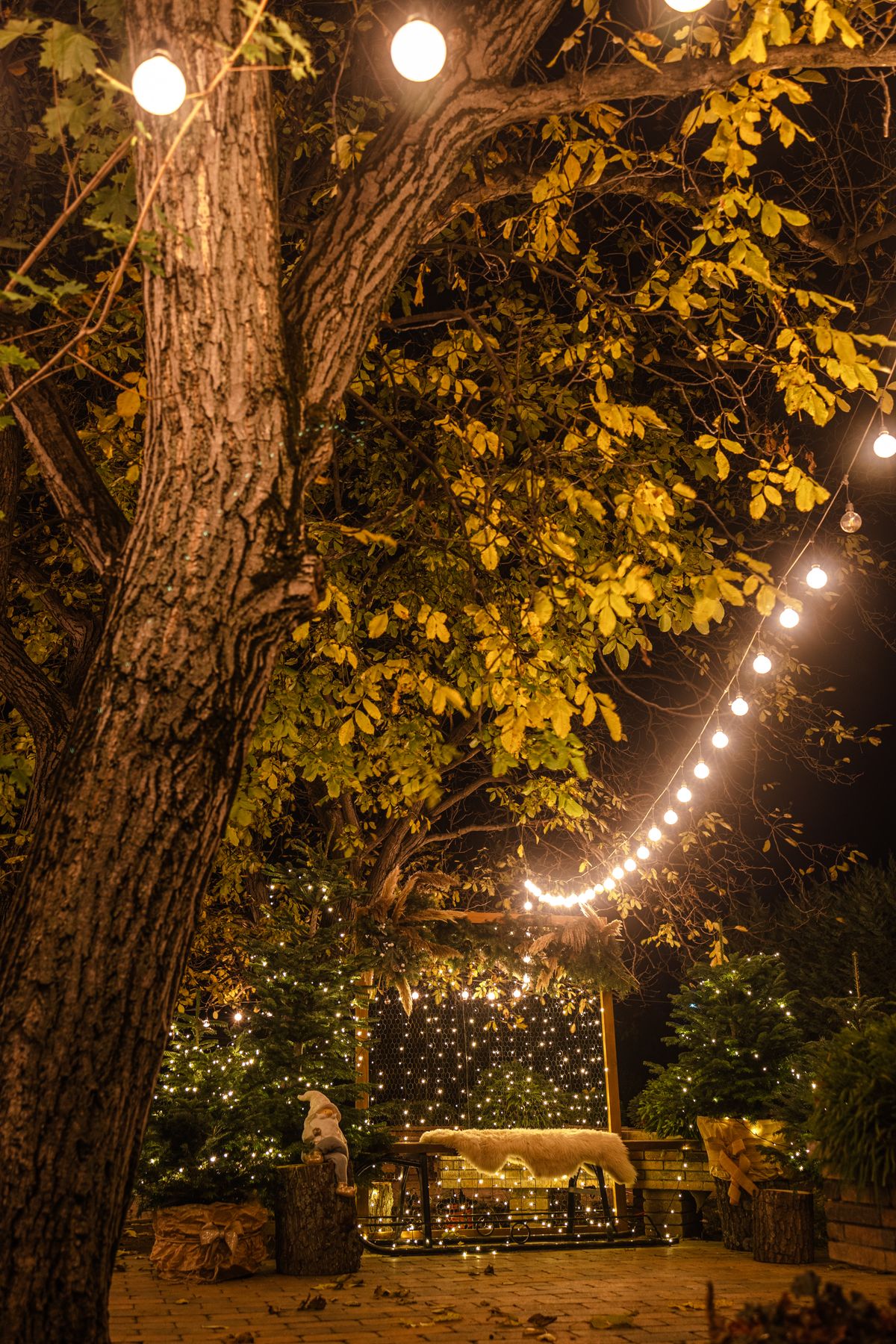 Christmas light decor ideas with a patio decorated with string lights at night