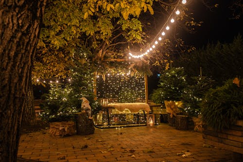 Free A Patio with Christmas Decorations and Lights  Stock Photo