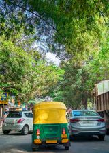 An auto and cars under a canopy of trees, Bengaluru