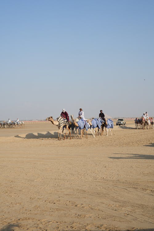 People Riding Camels on Desert