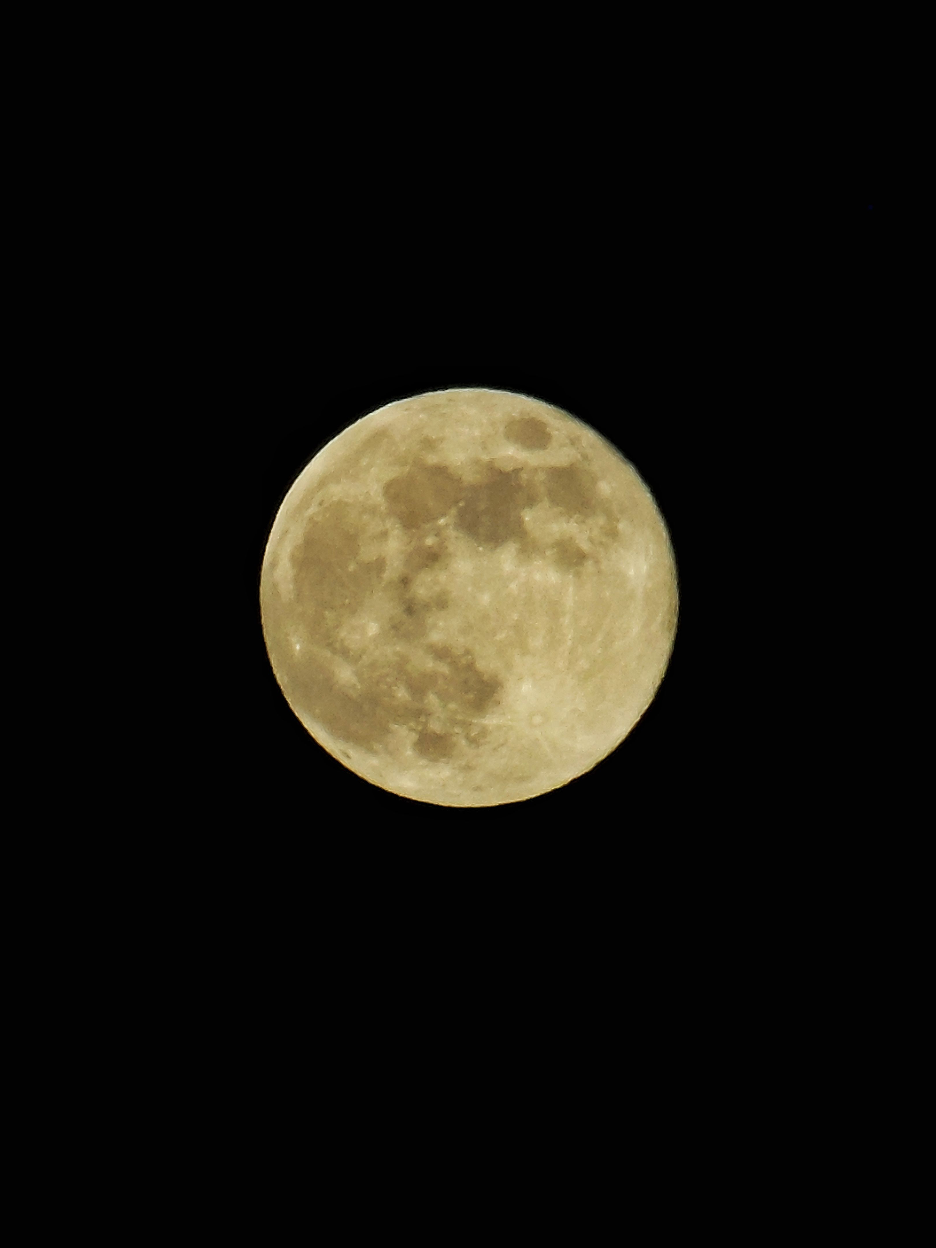 Full Moon in the Night Sky · Free Stock Photo