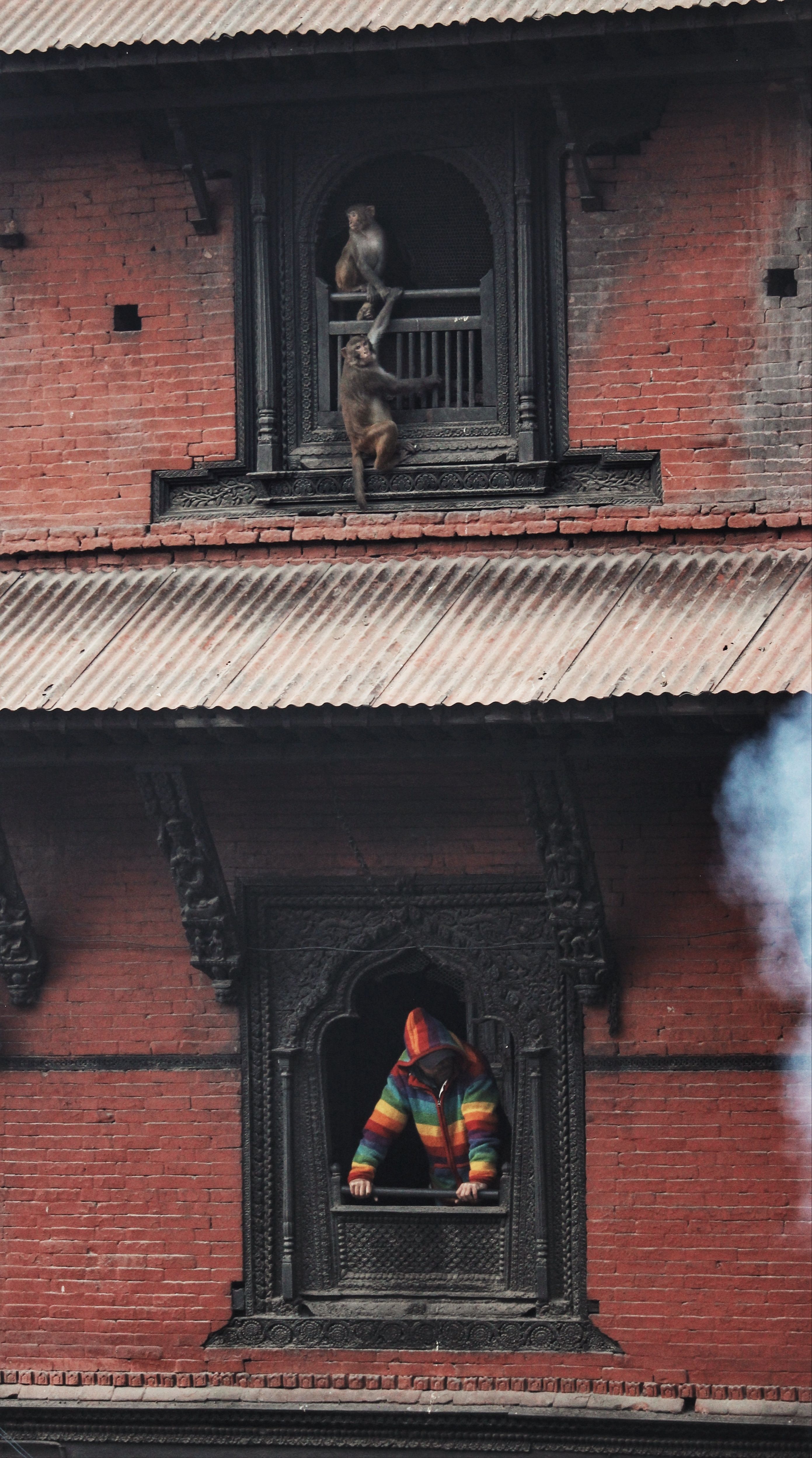 Nepal: Bilder zeigen das Rasuwa-Tal, das von plötzlicher Überschwemmung überschwemmt wurde