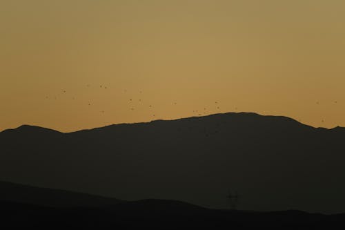 atmosfera de outono, birds_flying, gün batımı içeren Ücretsiz stok fotoğraf