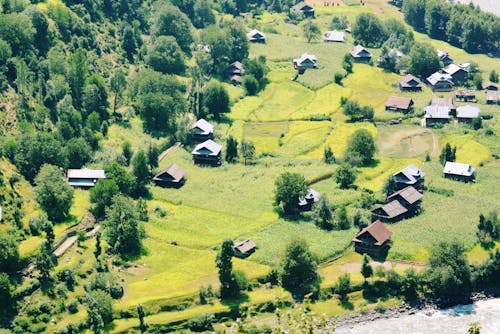 Fields and House in Village